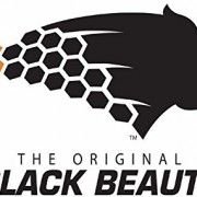 BLACK BEAUTY® Abrasives Blast Media Fine Abrasive 20/40 Mesh Size for use in Sandblast Cabinet – 80 LBS